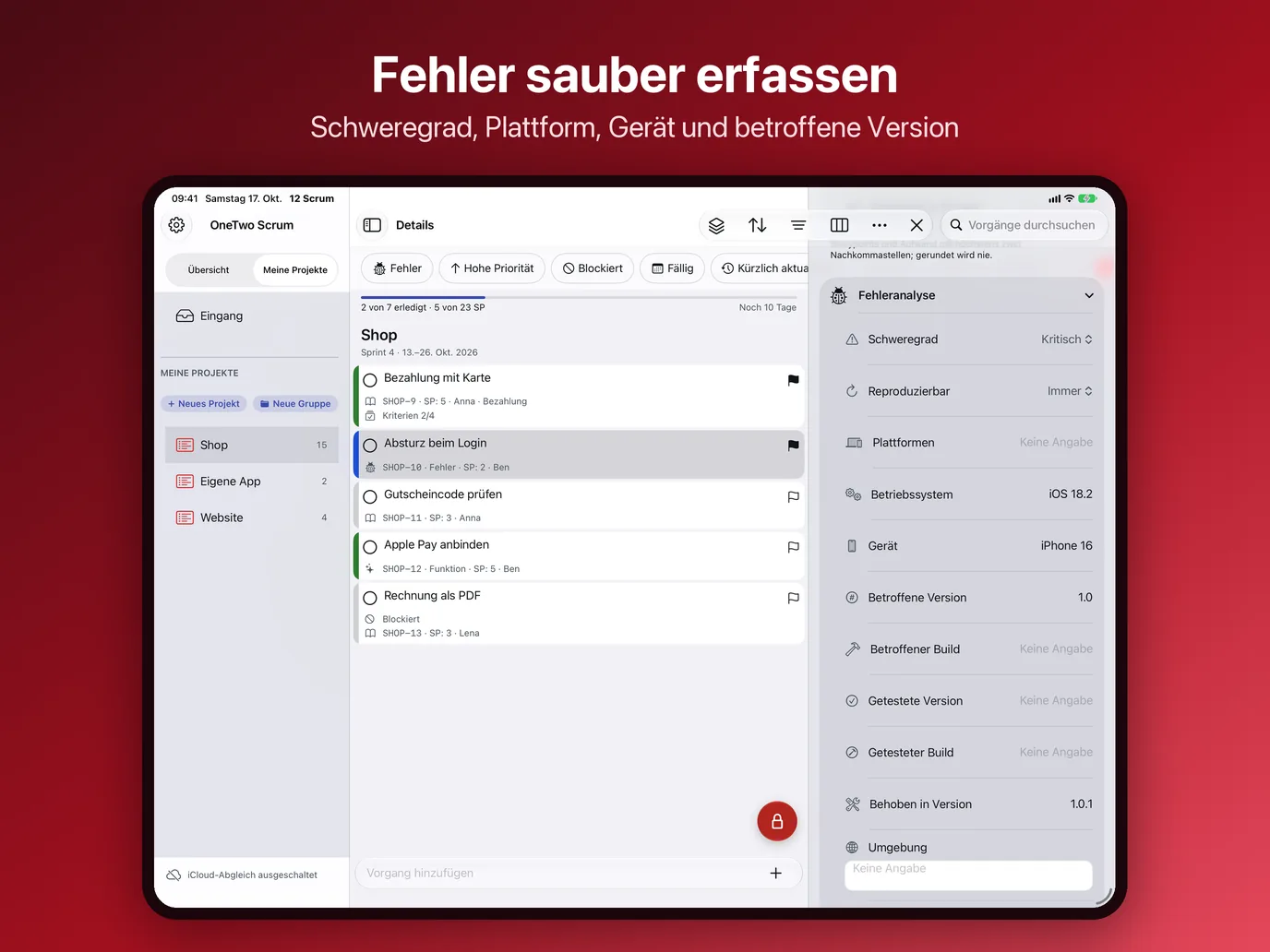 iPad, Bild 5 von 10: Fehler sauber erfassen
